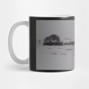 View of East Mains Castle & The Loch, East Kilbride Mug